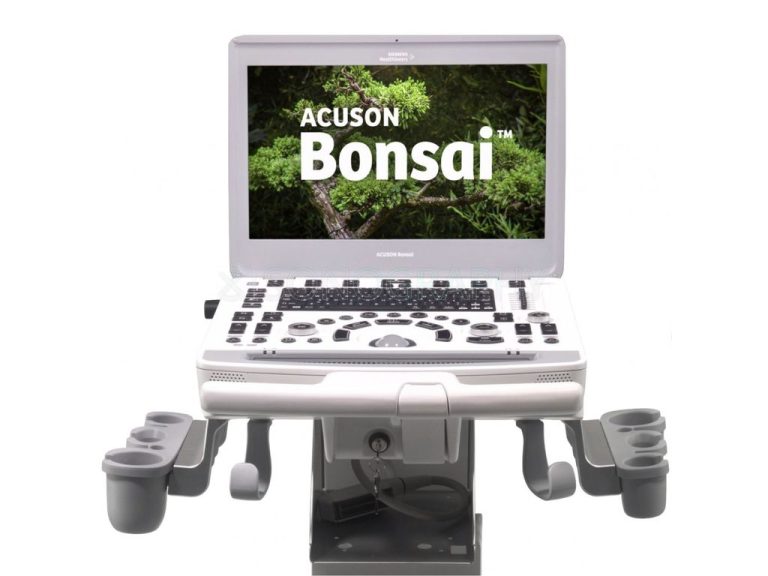 Изображение УЗИ аппарат Siemens Acuson Bonsai