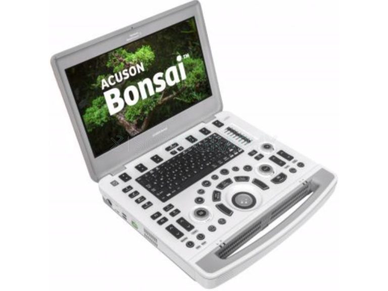 Изображение УЗИ аппарат Siemens Acuson Bonsai