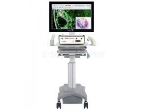 Изображение УЗИ аппарат BK Medical Pro Focus 2202