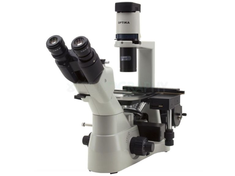 Изображение Микроскоп Optika B-500